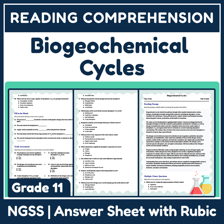 Grade 11 Science reading worksheets worksheet — Grade 11 Science | Biogeochemical Cycles Reading Worksheet & Answer Key (P…