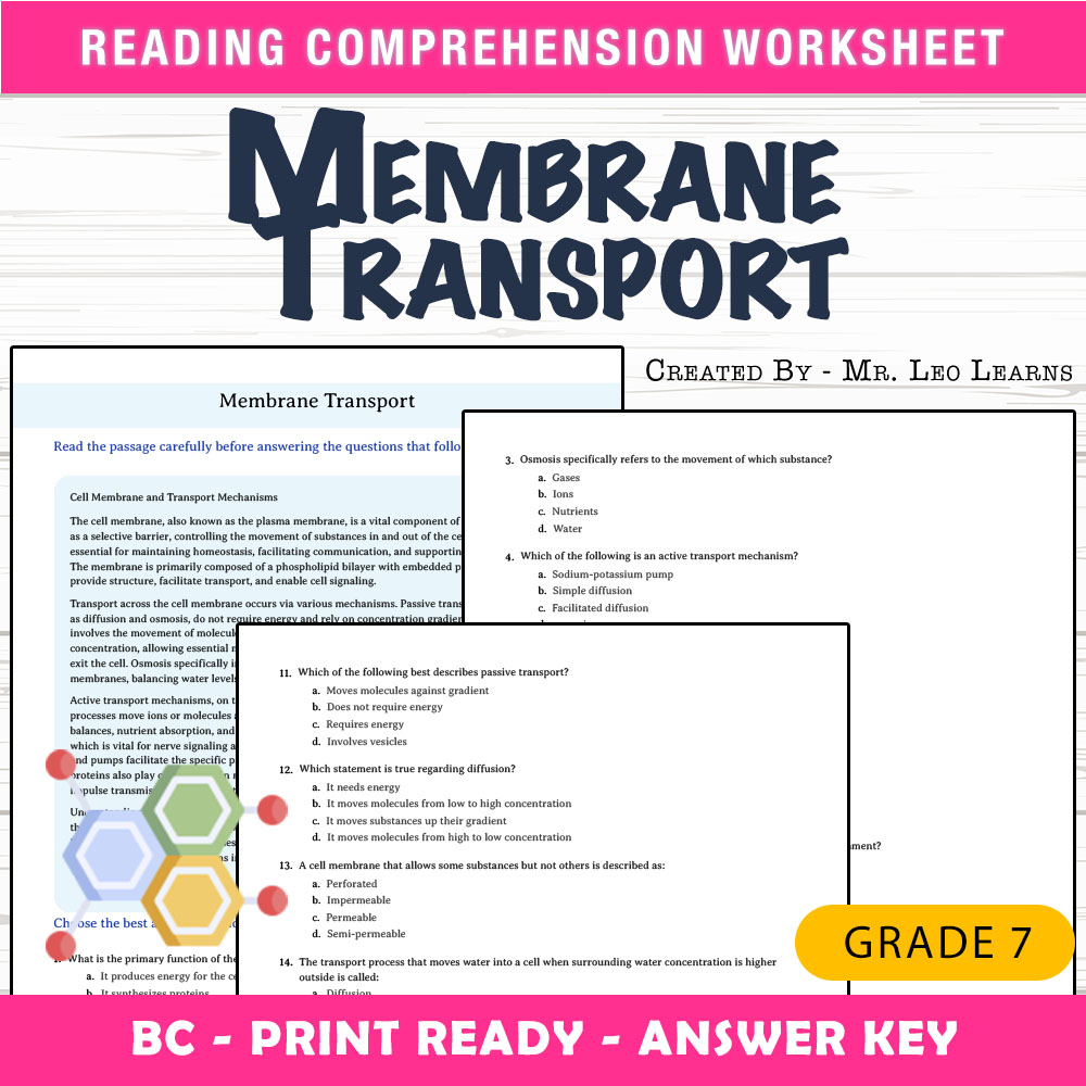 Grade 7 Science worksheet mcq paper worksheet — Grade 7 Science — Membrane Transport Worksheet for Mastery — page 1
