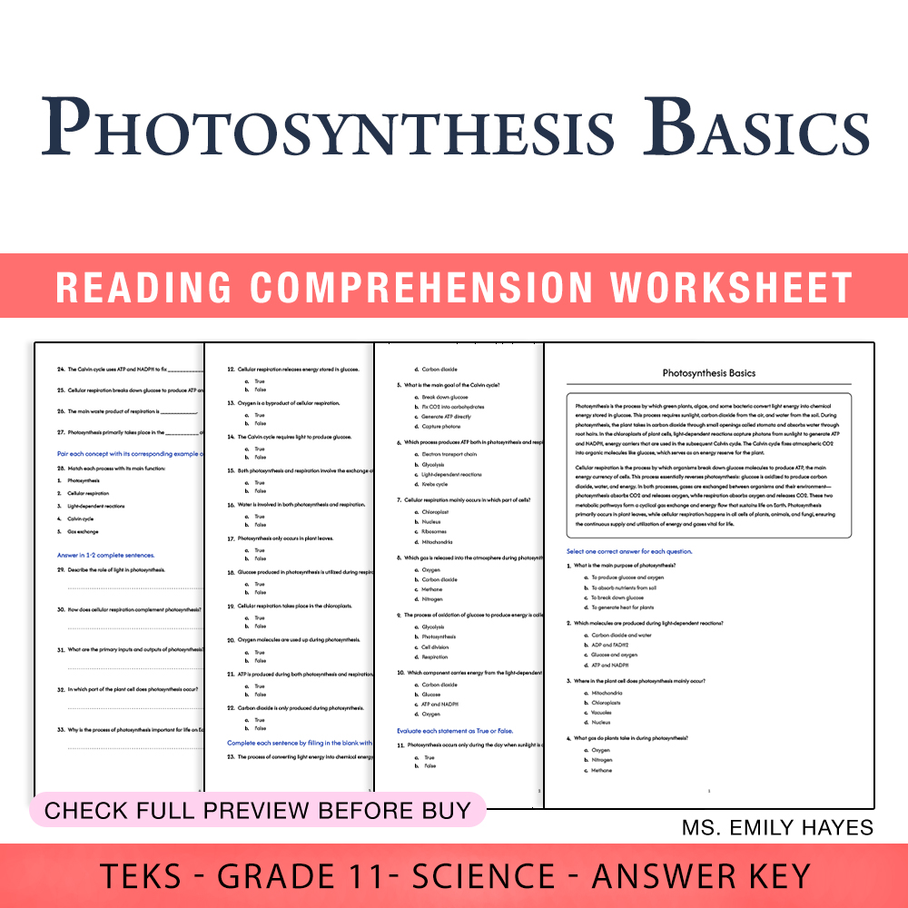 Grade 11 Science worksheet worksheet — Grade 11 Science | Photosynthesis Basics Worksheet (PDF+ Answer Key) — page 1