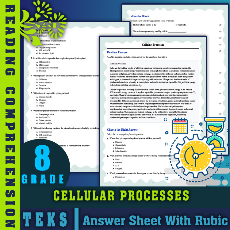 Grade 8 Science reading worksheets worksheet — 8th Grade Science | Cellular Processes Reading Worksheet + Answer Key PDF —…
