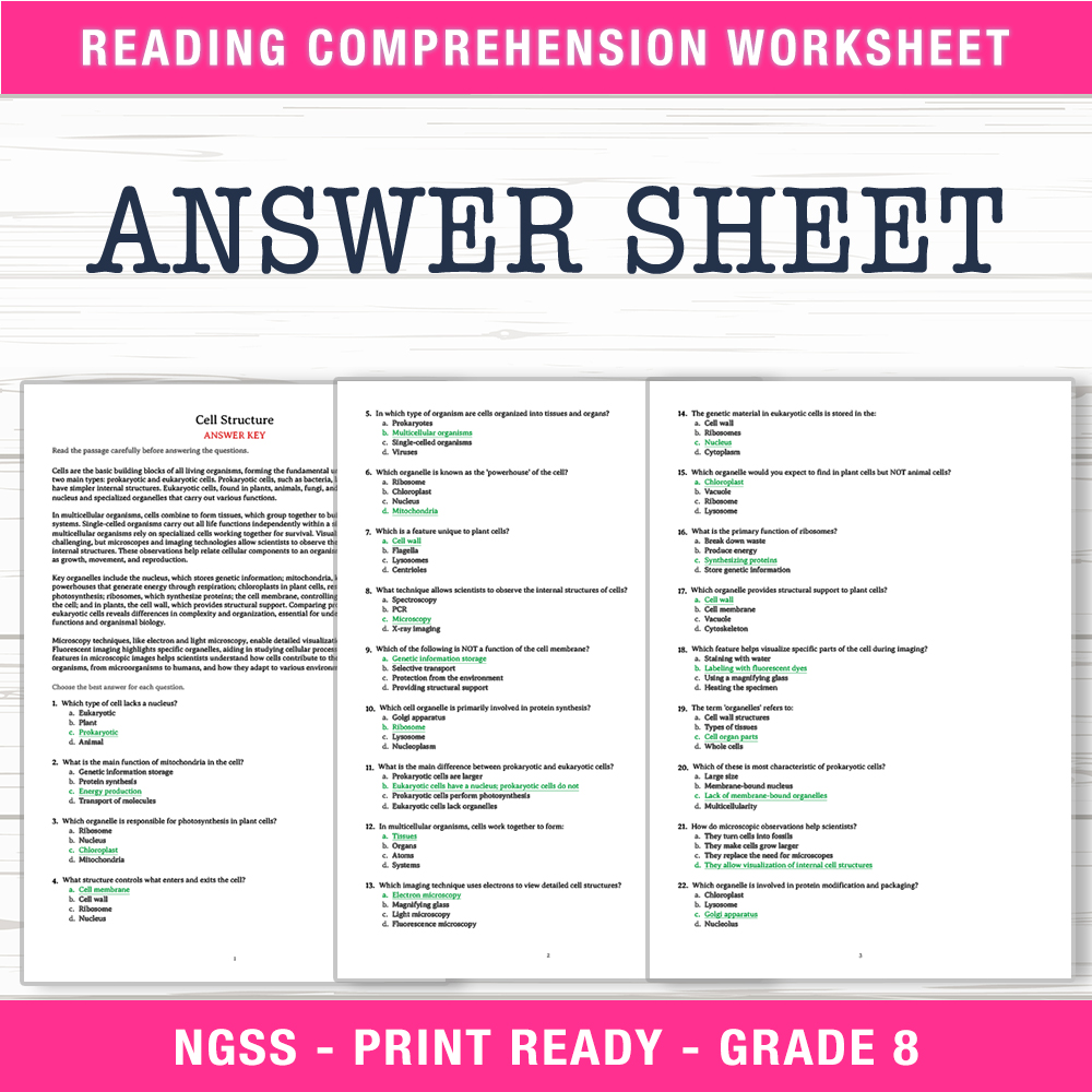 Grade 8 Science worksheet worksheet — Grade 8 Science | Cell Structure Worksheet (PDF + Answer Key) — page 2