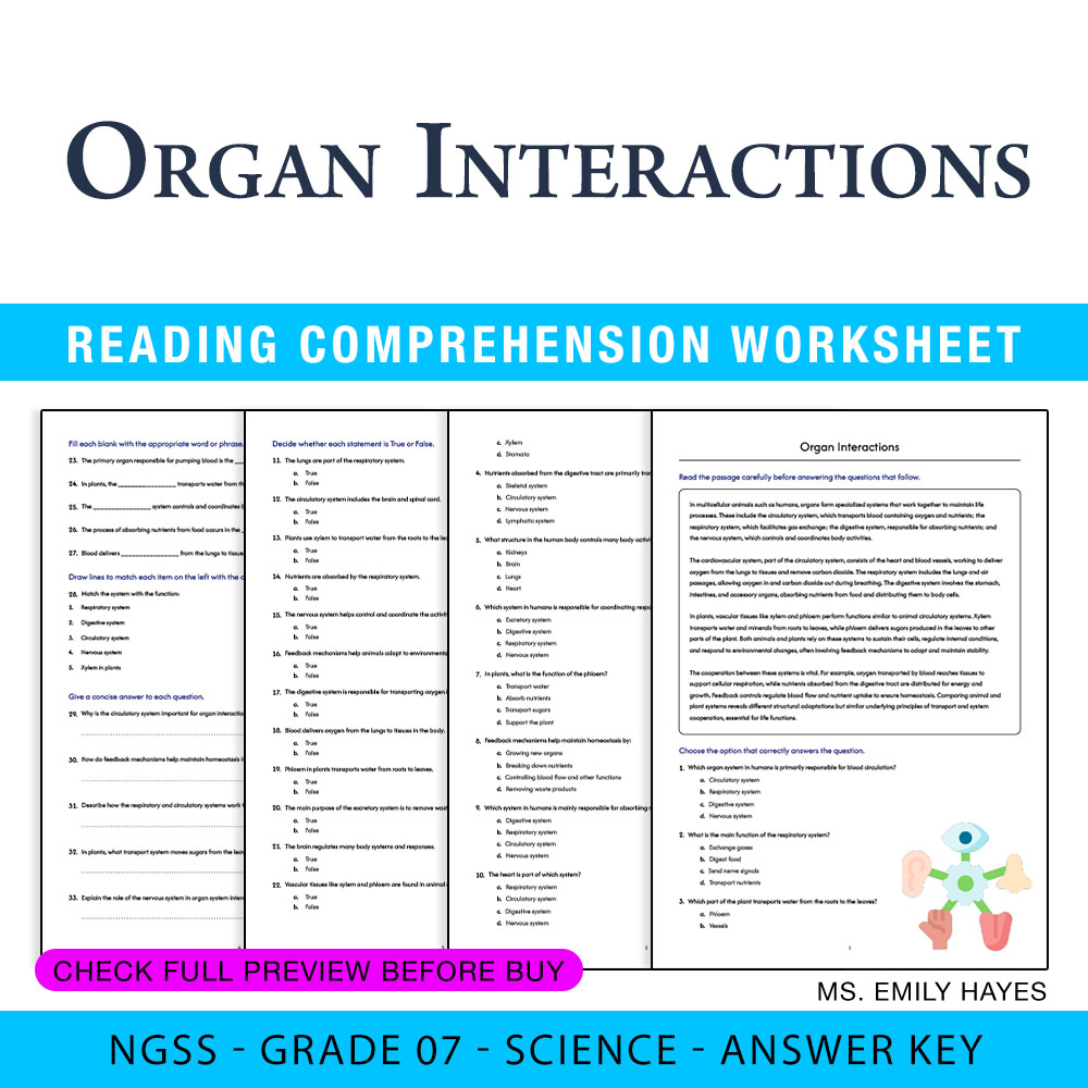 Grade 7 Science worksheet worksheet — 7th Grade Science | Organ Interactions Worksheet (PDF + Answer Key) — page 1