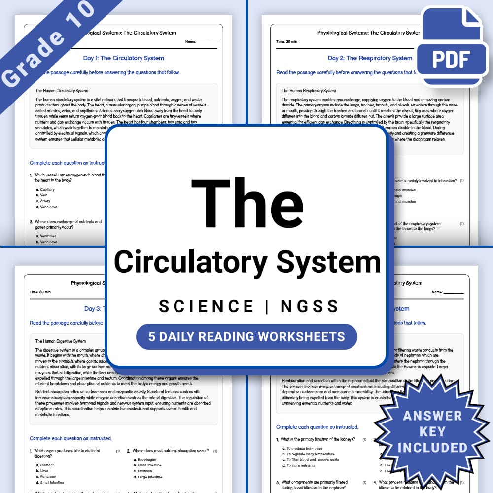 Grade 10 Science daily reading worksheet worksheet — Grade 10 Science – Circulatory System Worksheet (PDF +Answer Key) — p…