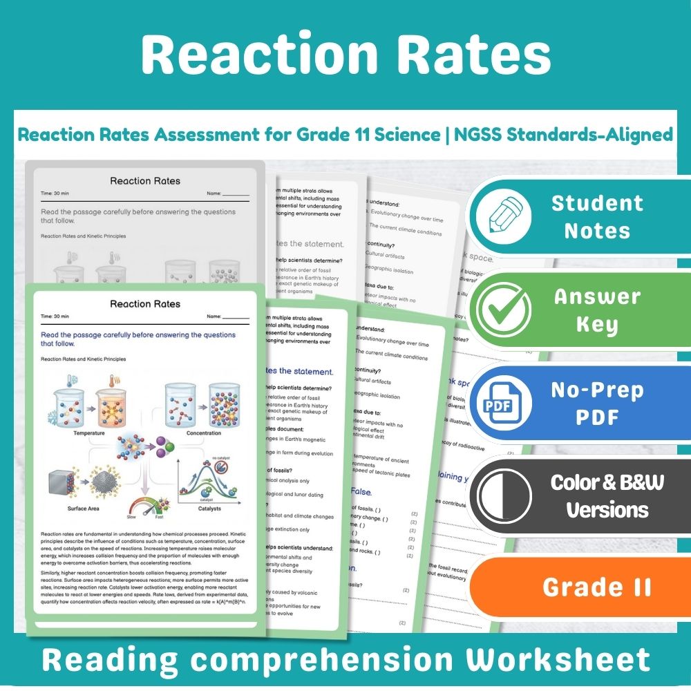 Reaction Rates Assessment for Grade 11 Science | NGSS Standards-Aligned