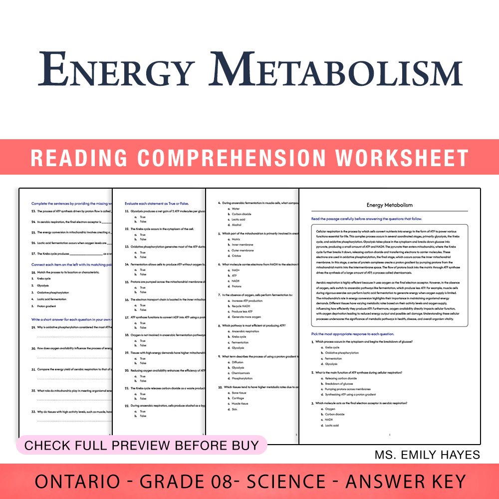 Grade 8 Science worksheet worksheet — Grade 8 Science | Energy Metabolism Worksheet (PDF+ Answer Key) — page 1