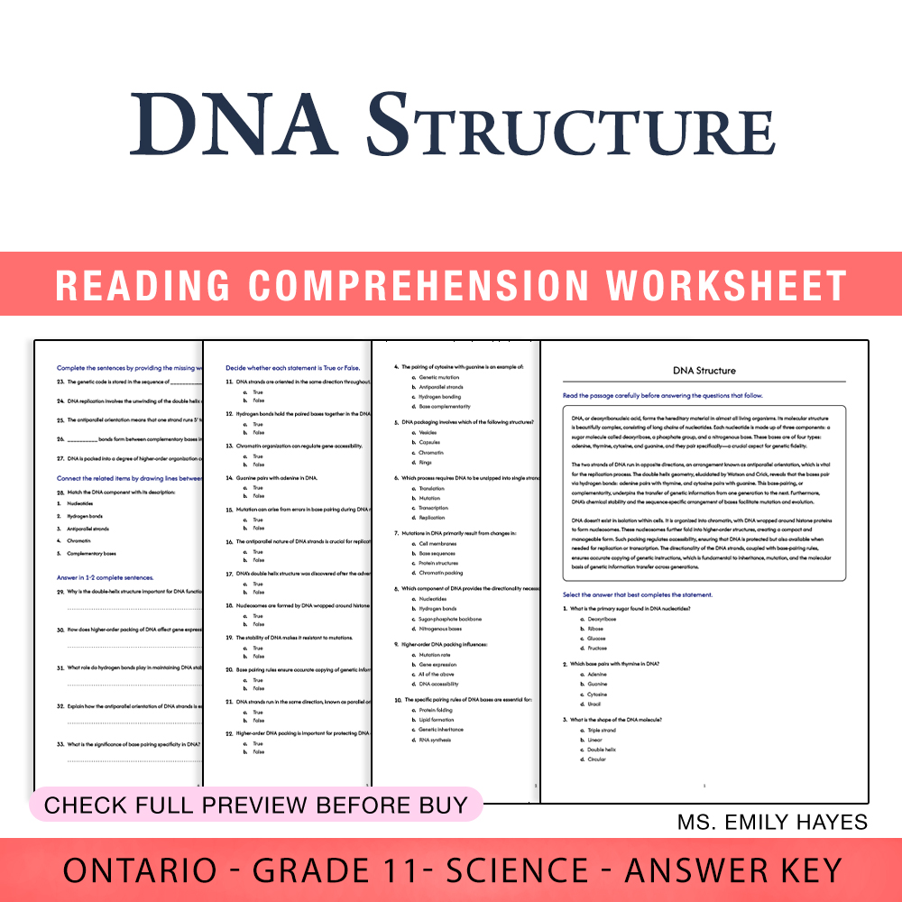 Grade 11 Science worksheet worksheet — 11th Grade Science | DNA Structure Worksheet (PDF + Answer Key) — page 1