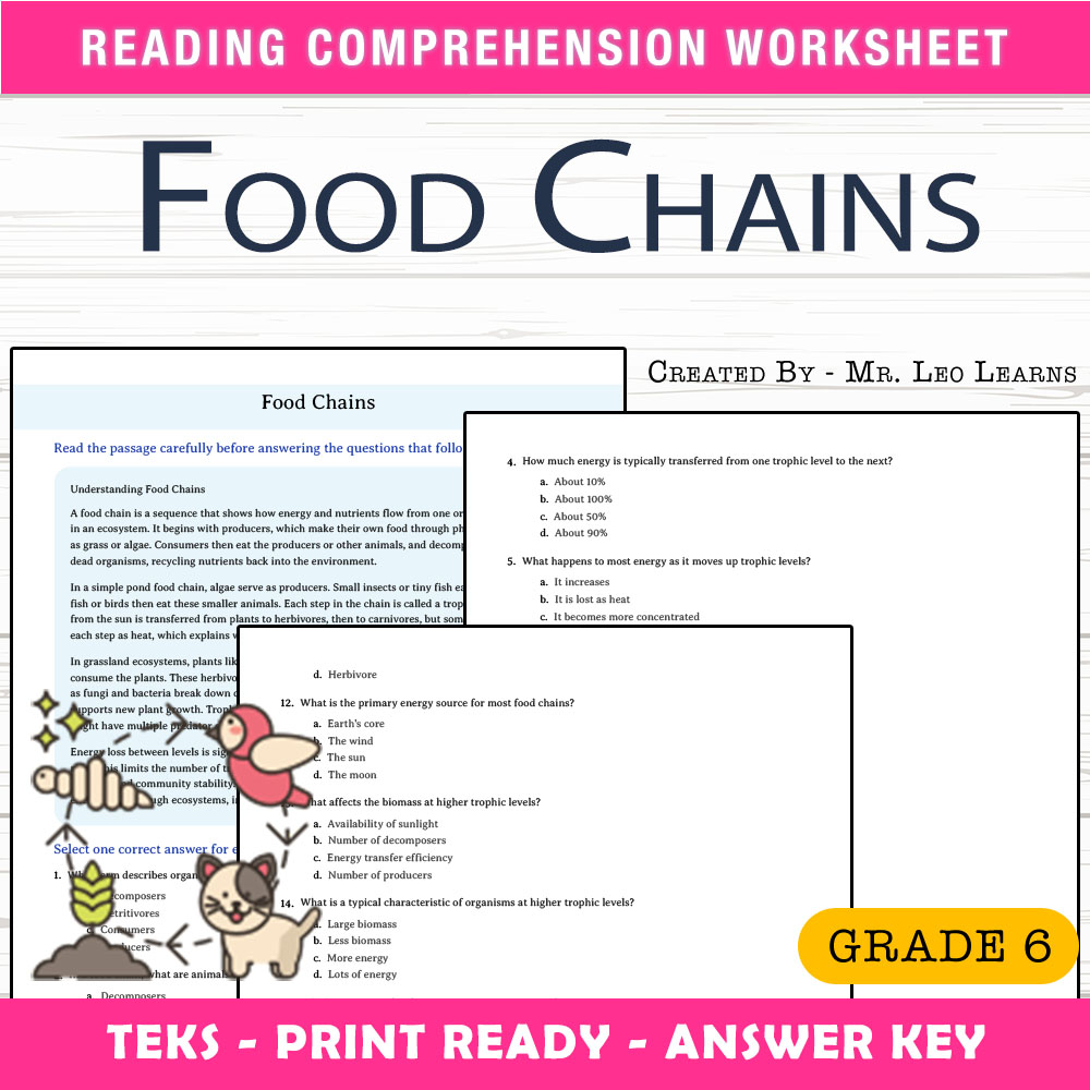 Grade 6 Science worksheet worksheet — Grade 6 Science — Food Chains Worksheet for Mastering Energy Flow — page 1