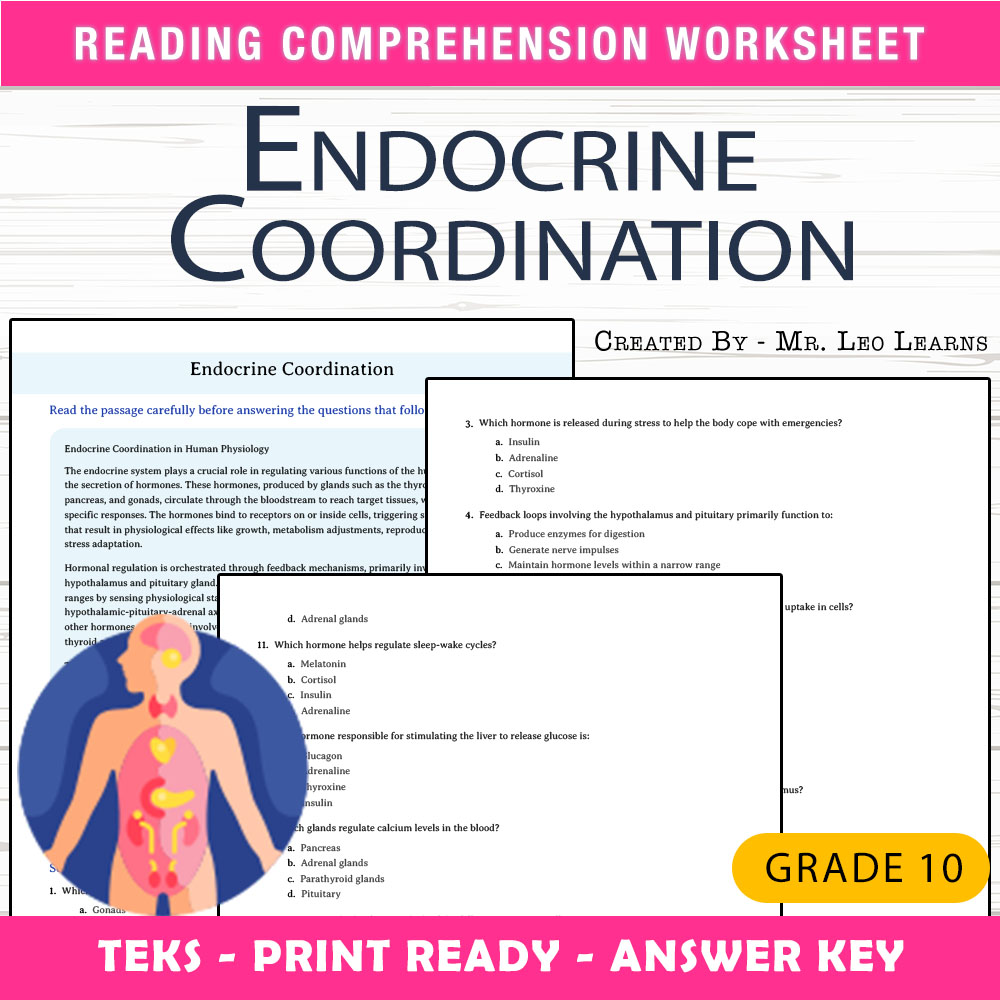 Grade 10 Science worksheet worksheet — Grade 10 Science | Endocrine Coordination Worksheet for Mastery — page 1