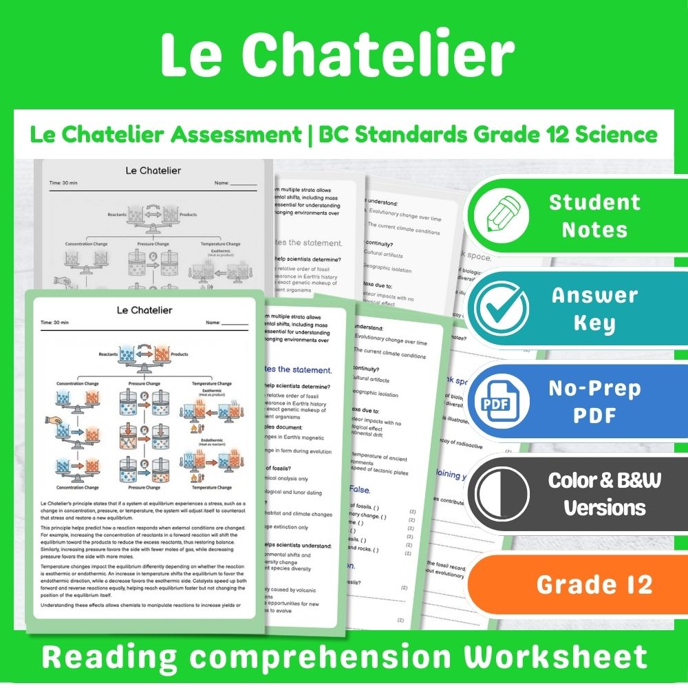Grade 12 Science Mini Bundle – Thermochemistry & Equilibrium Assessment — included worksheet 11