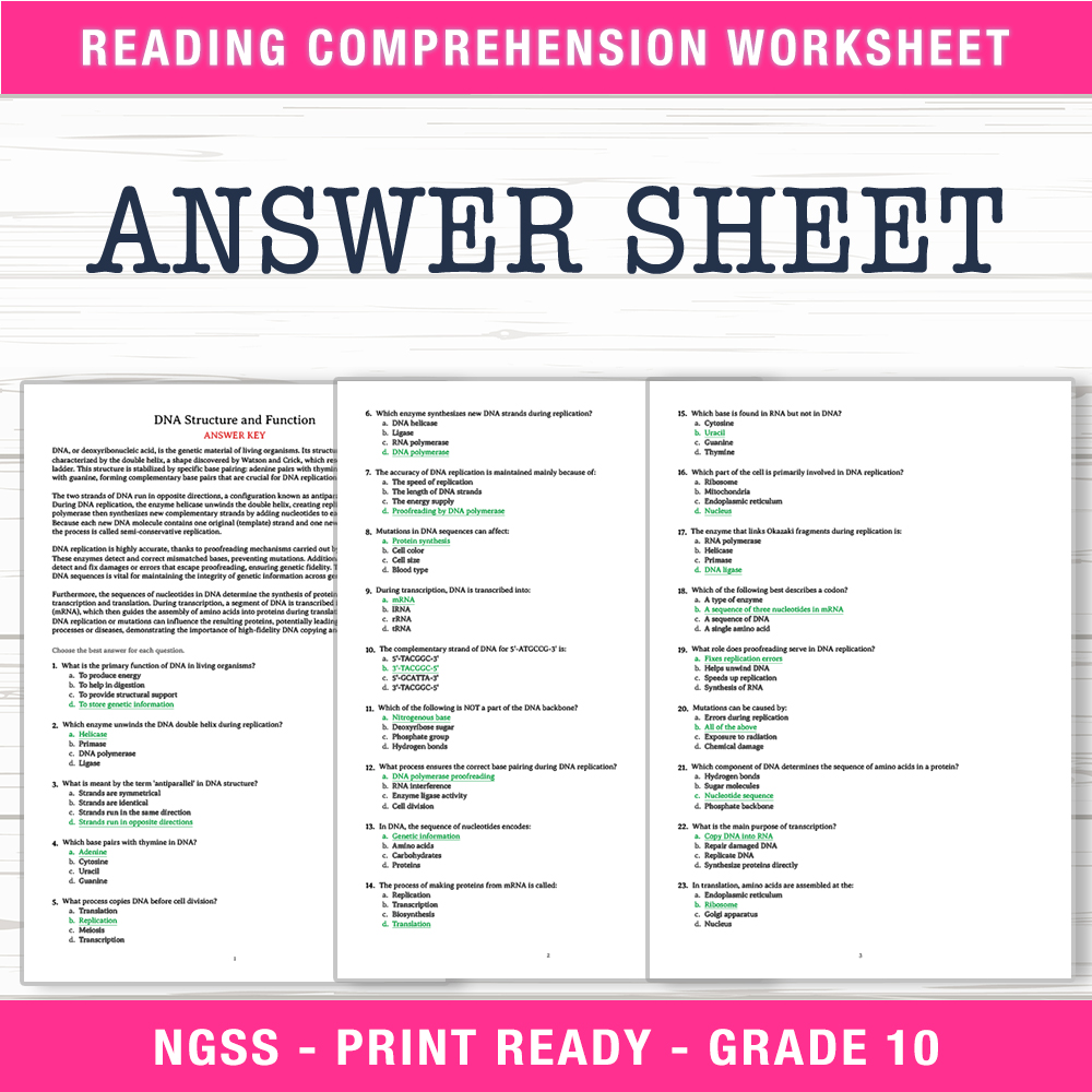 Grade 10 Science worksheet worksheet — Grade 10 Science – DNA Structure & Function Worksheet (PDF + Answer Key) — page 2