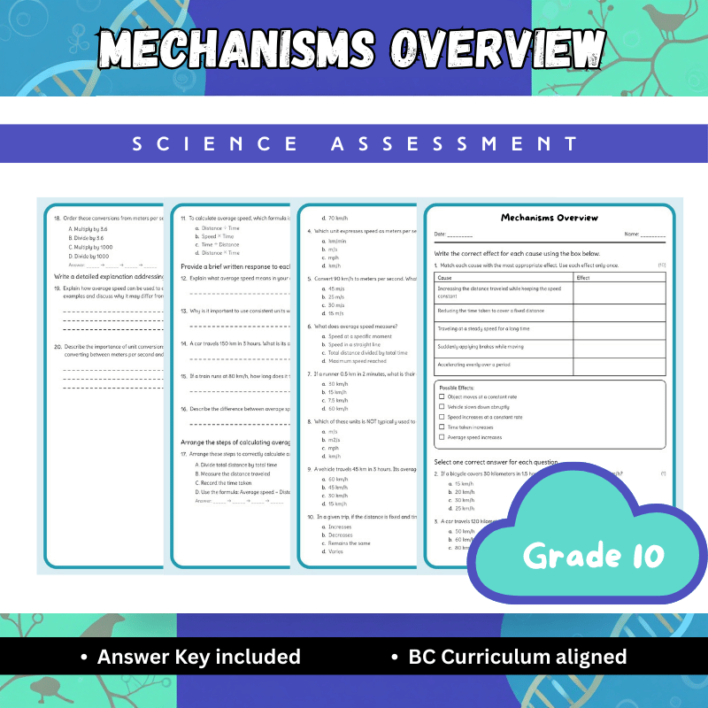 Grade 10 Science | Mechanisms of Evolution Worksheet (Answer Key) | BC Standards