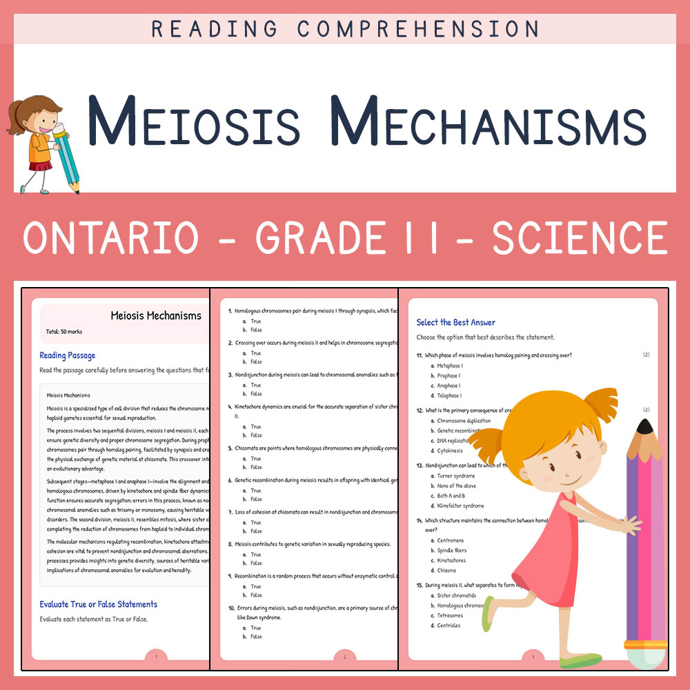 Grade 11 Science worksheet elena worksheet — Grade 11 Science | Meiosis Mechanisms Worksheet Elena | Ontario Standards — p…