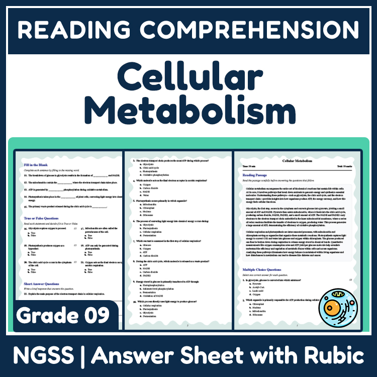 Grade 9 Science reading worksheets worksheet — 9th Grade Science | Cellular Metabolism Reading Worksheet (PDF + Rubric) —…