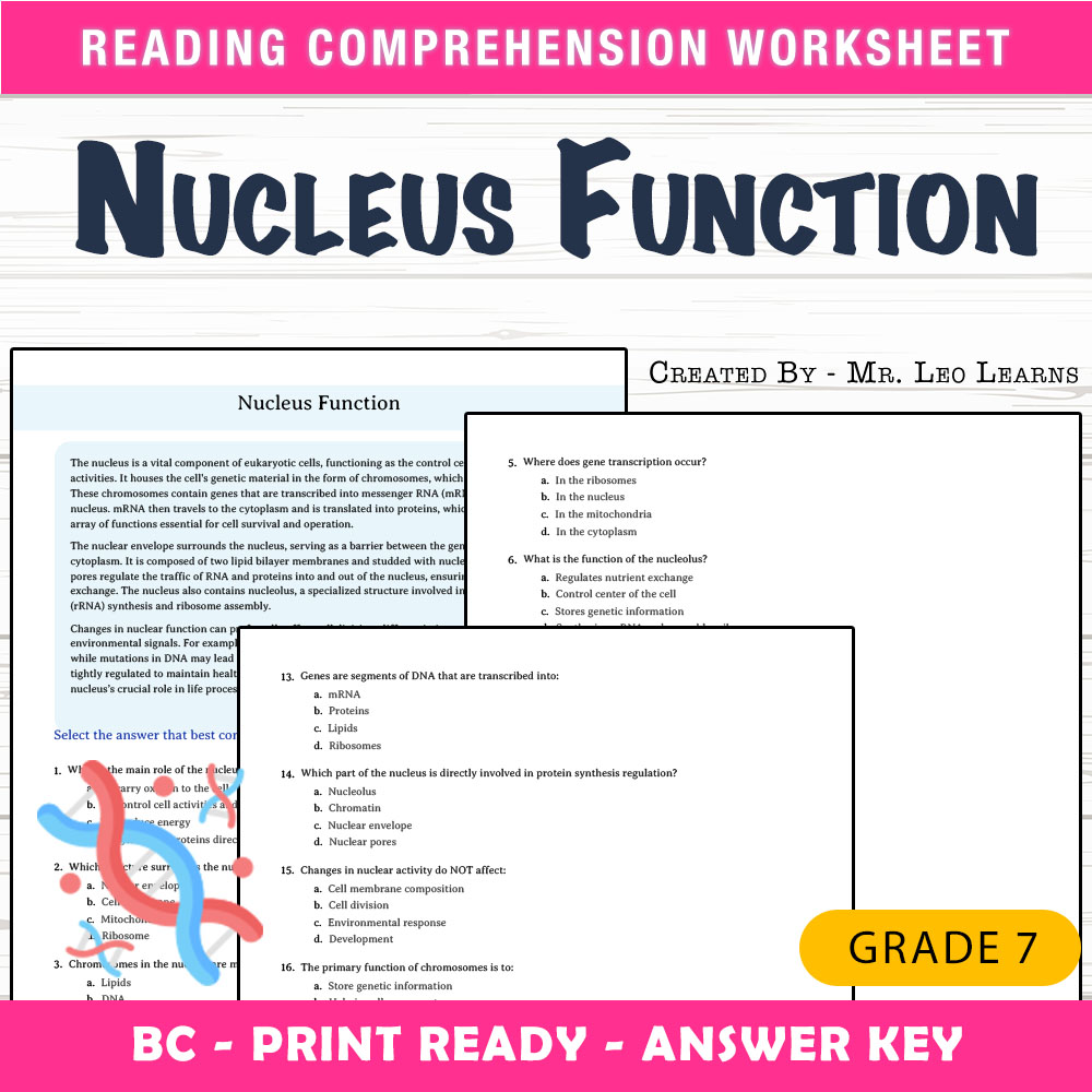Grade 7 Science worksheet mcq paper worksheet — Grade 7 Science — Nucleus Function Worksheet MCQ Paper — page 1