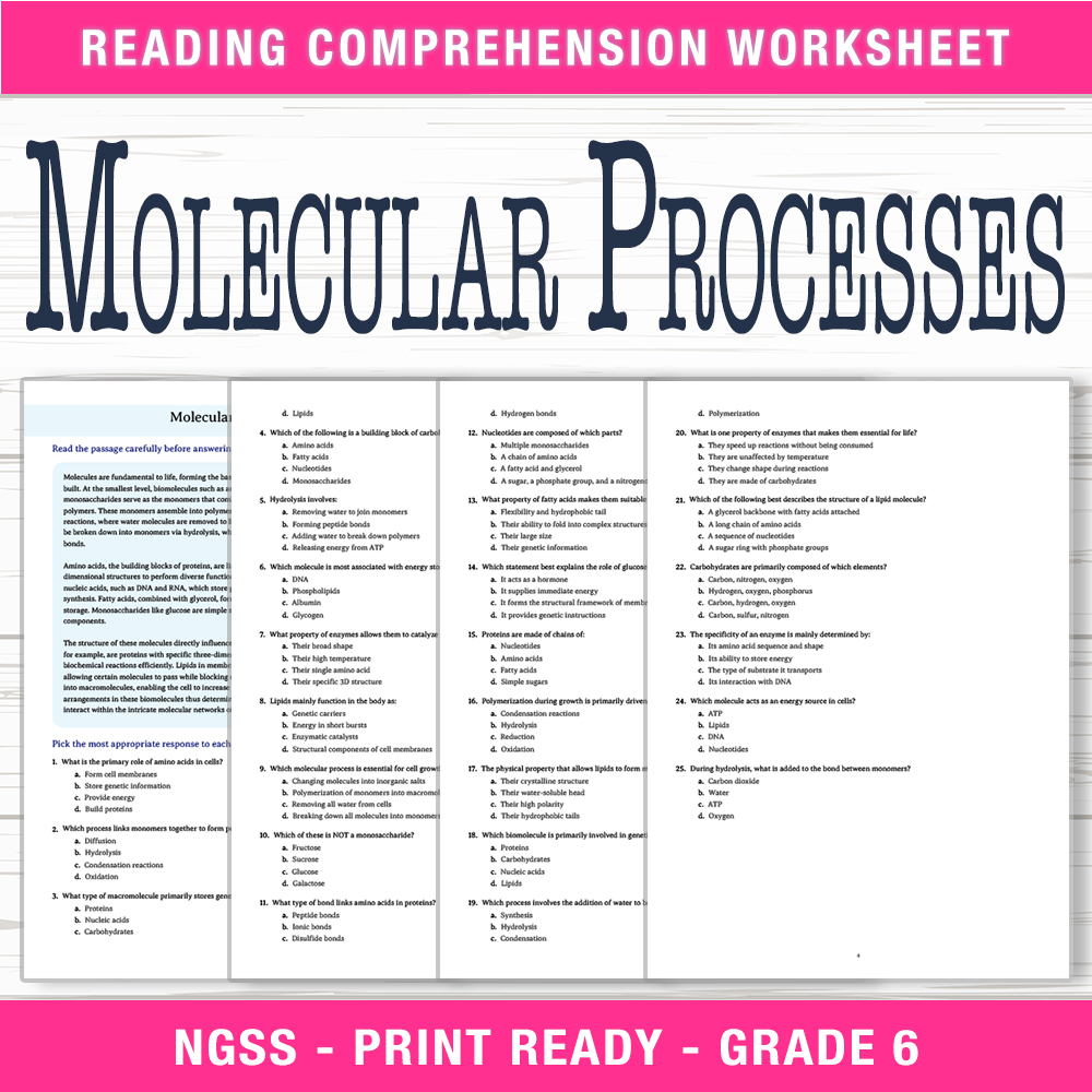 Grade 6 Science worksheet worksheet — 6th Grade Science | Molecular Processes Worksheet (PDF + Answer Key) — page 1