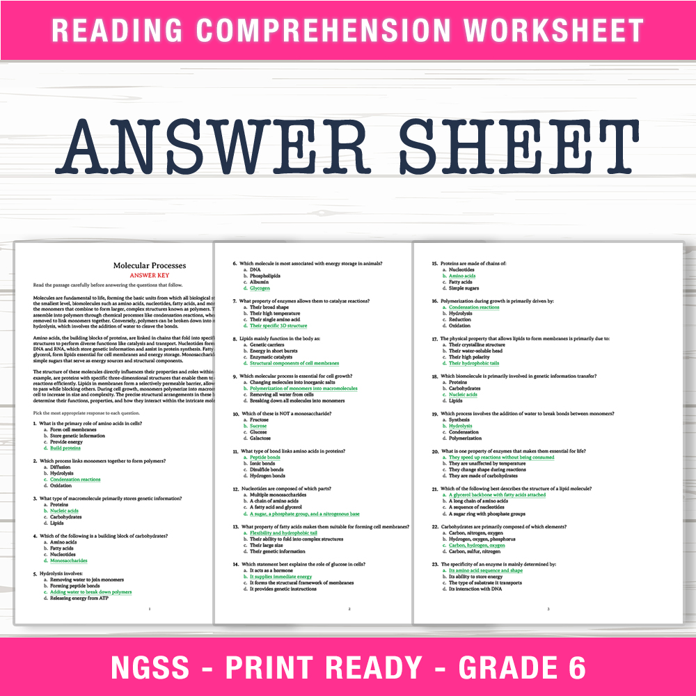 Grade 6 Science worksheet worksheet — 6th Grade Science | Molecular Processes Worksheet (PDF + Answer Key) — page 2