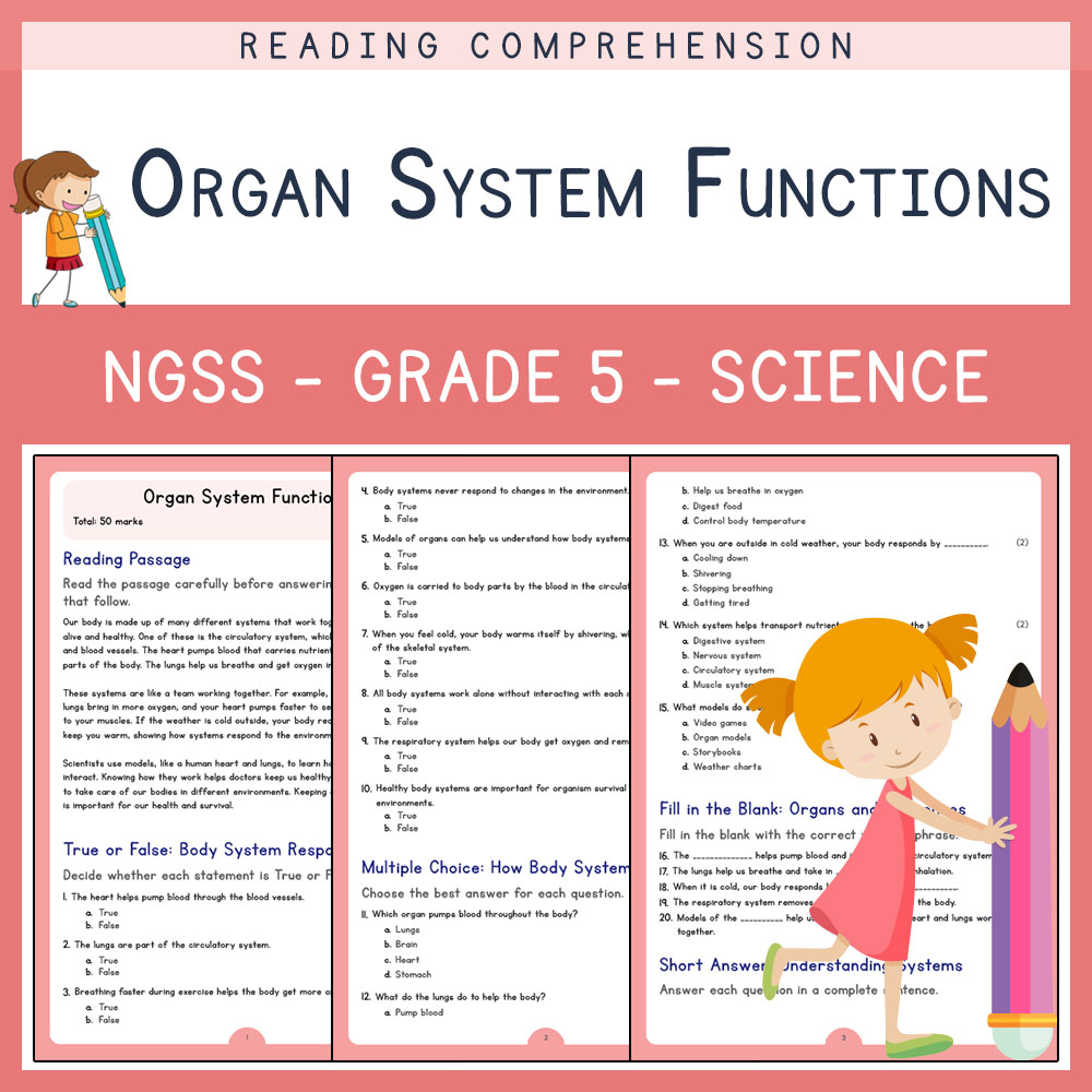 Grade 5 Science worksheets for primary grades worksheet — Grade 5 Science | Organ System Functions Worksheet ( PDF ) | NGS…