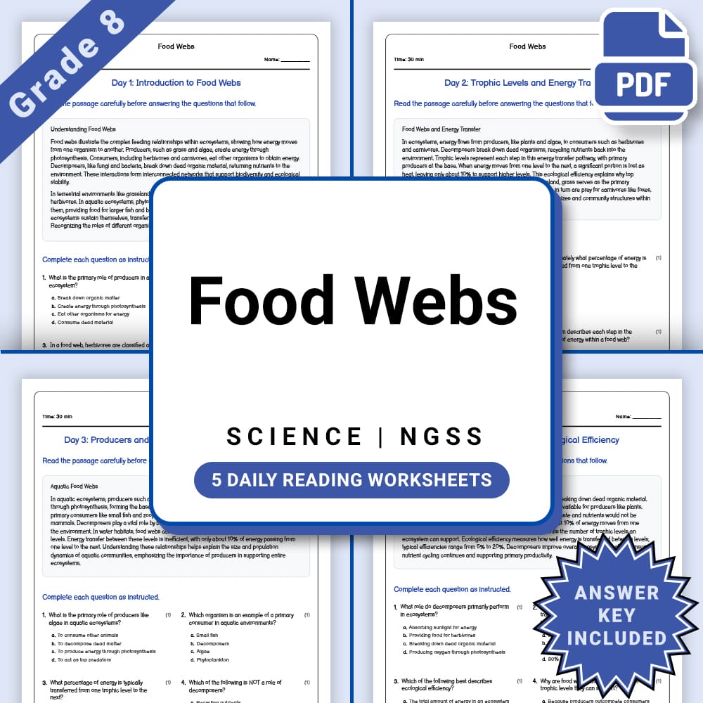 Grade 8 Science daily reading worksheet worksheet — Grade 8 Science – Food Webs Daily Reading Worksheet(PDF + Answer Key)…