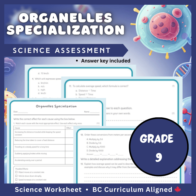 Grade 9 Science science 1 worksheet — Grade 9 Science | Organelles Specialization Worksheet (PDF) for BC Standards — page 2