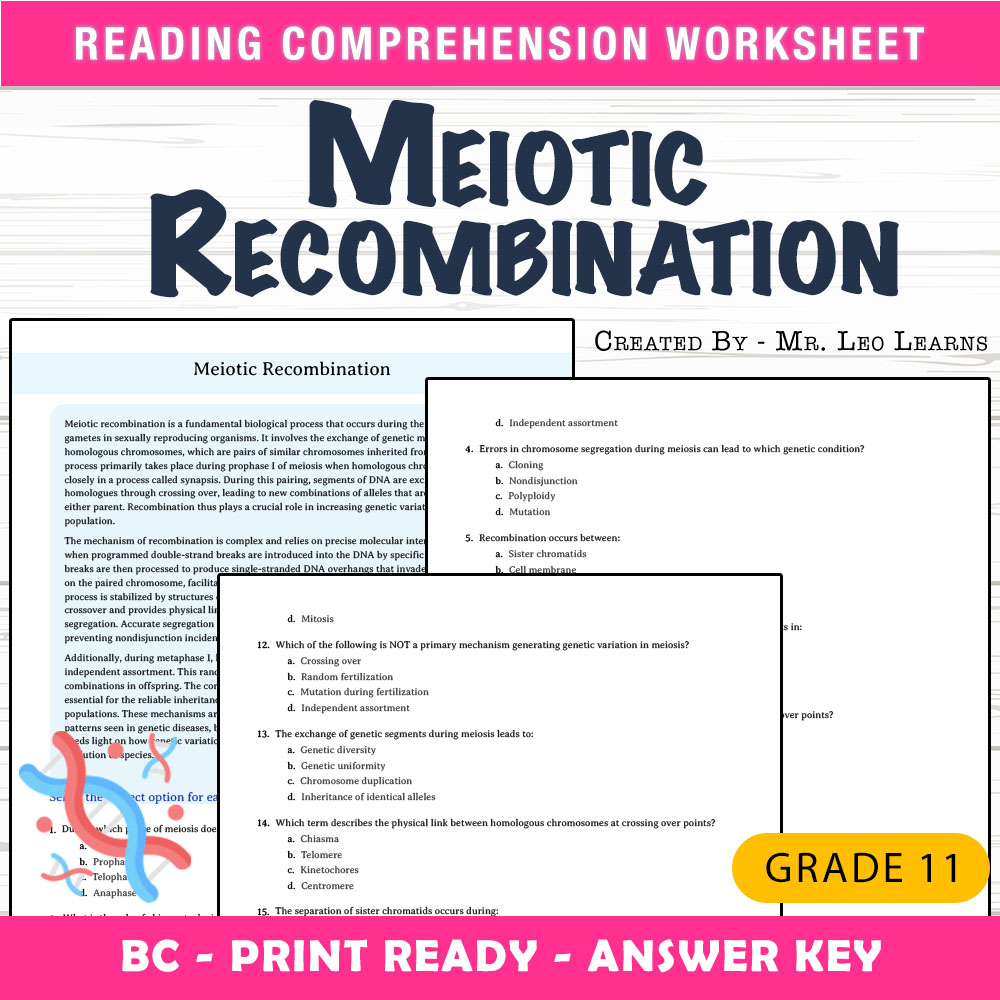 Grade 11 Science worksheet mcq paper worksheet — Grade 11 Science — Worksheet MCQ Paper for Mastering Meiotic Recombinatio…