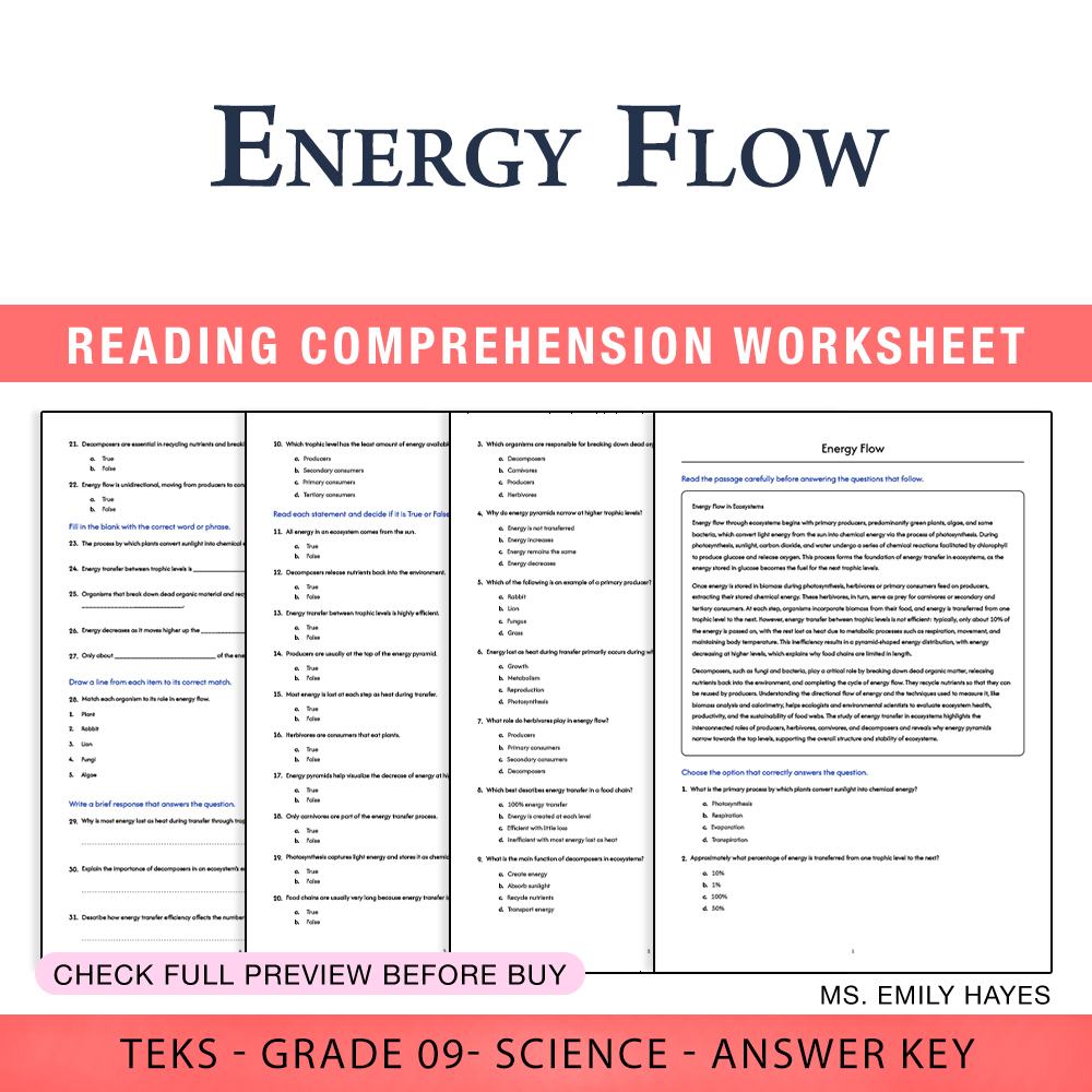 Grade 9 Science worksheet worksheet — 9th Grade Science | Energy Flow Worksheet (PDF+ Answer Key) — page 1