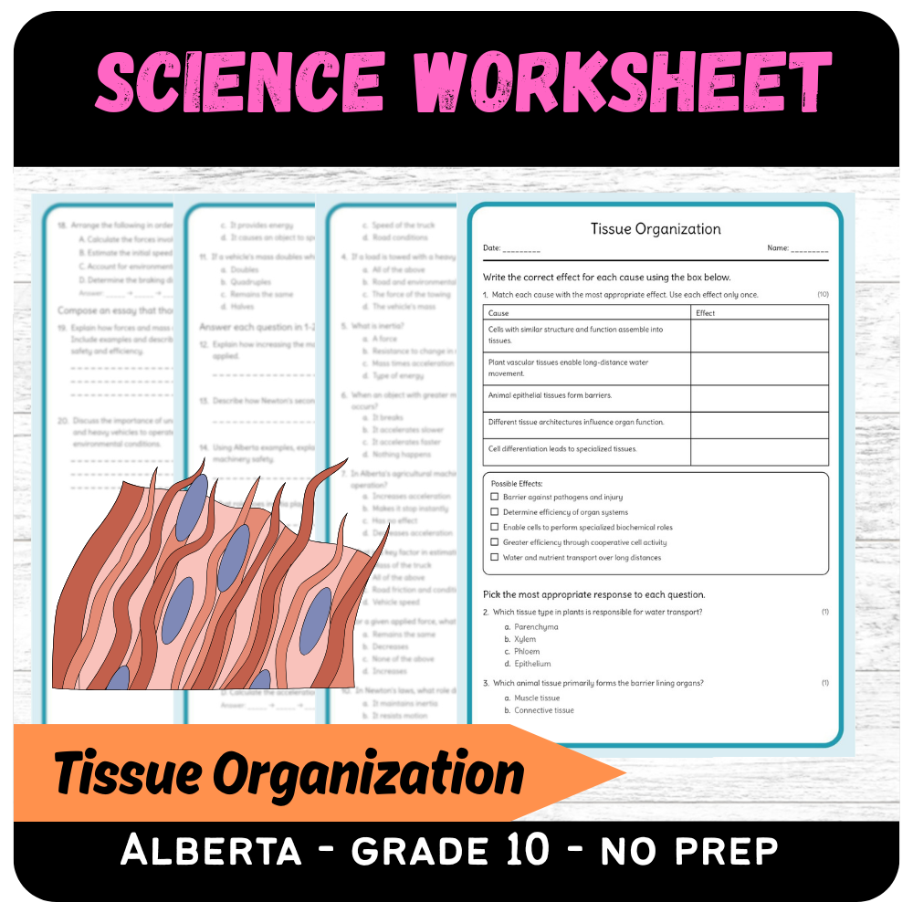 Grade 10 Science – Tissue Organization Worksheet (PDF) | Alberta Standards