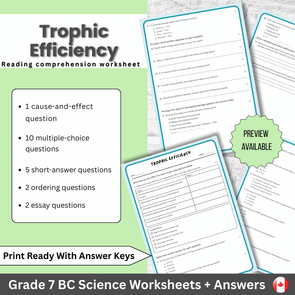 Grade 7 Science | Trophic Efficiency Worksheet (Answer Key) – BC Standards