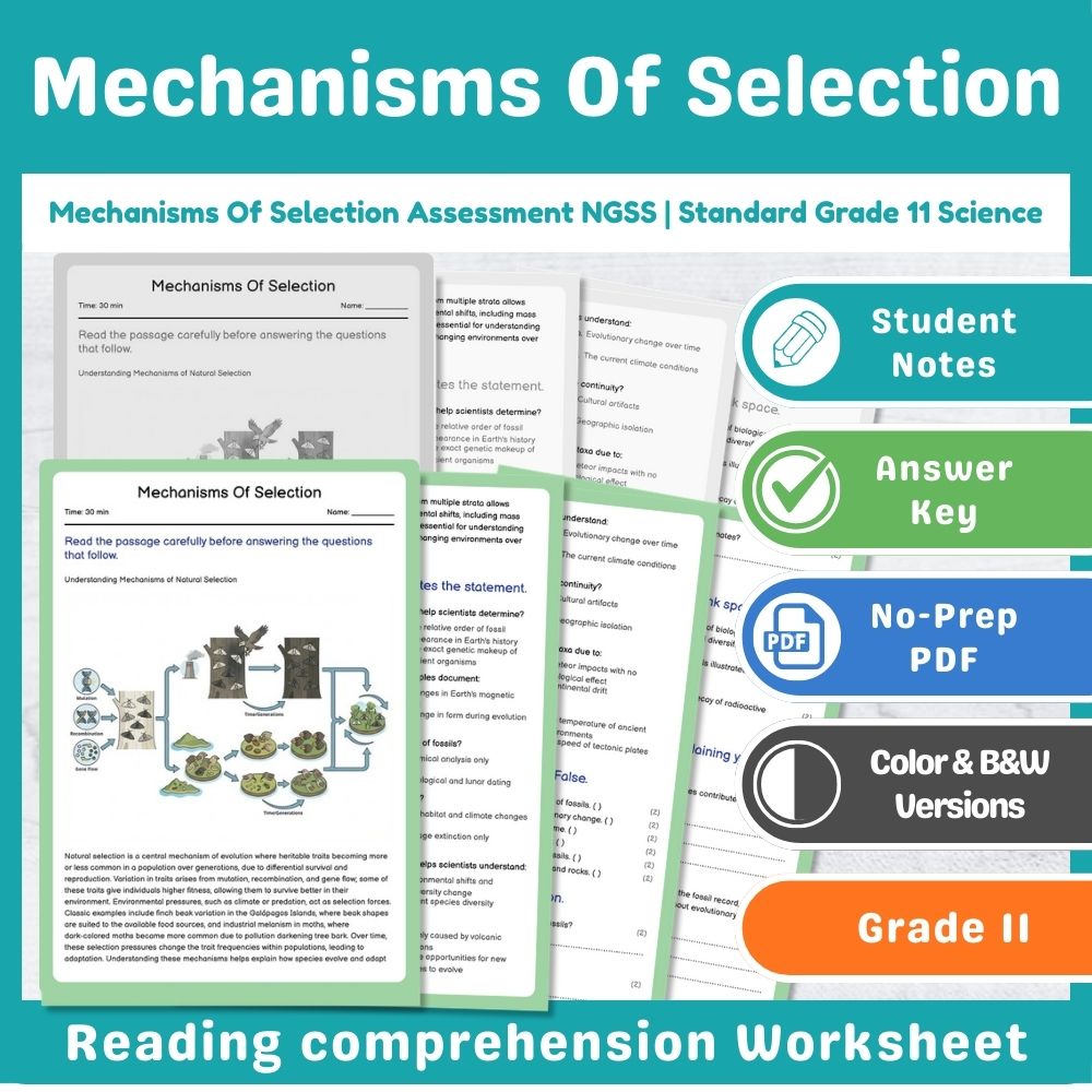 Grade 11 Science - Evolution & Population Genetics NGSS Assessment Bundle — included worksheet 4