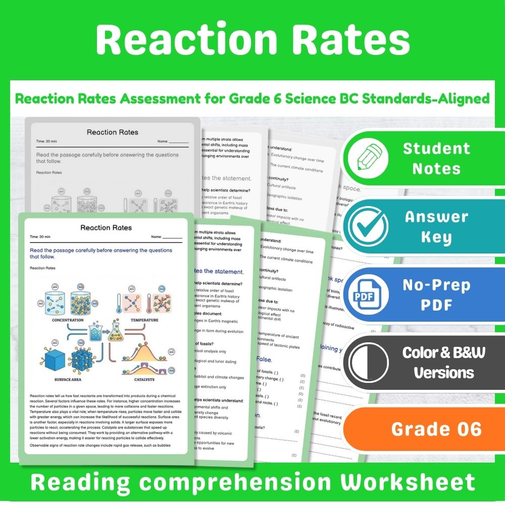 Grade 6 Science – Chemistry Assessment Mini Bundle | BC Standards-Aligned — included worksheet 13
