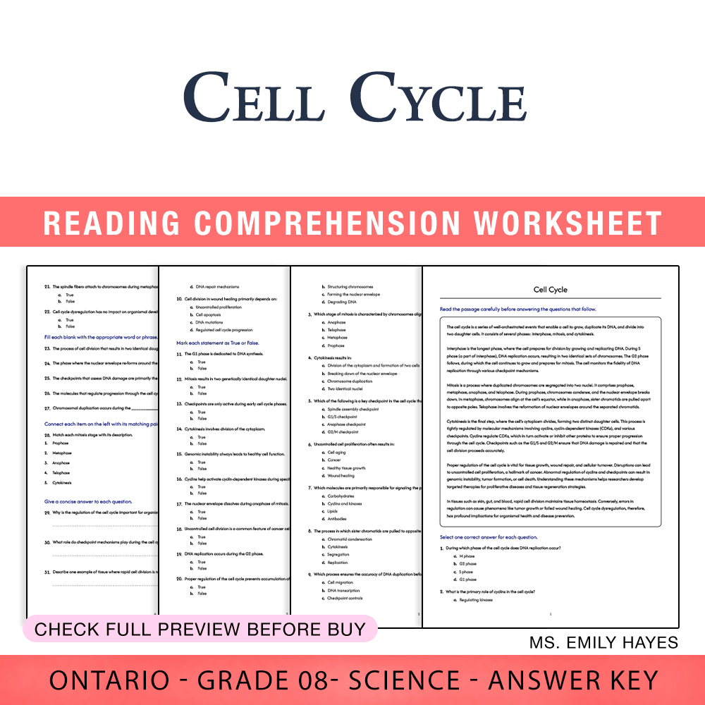 Grade 8 Science worksheet worksheet — 8th Grade Science | Cell Cycle Worksheet (PDF+ Answer Key) — page 1