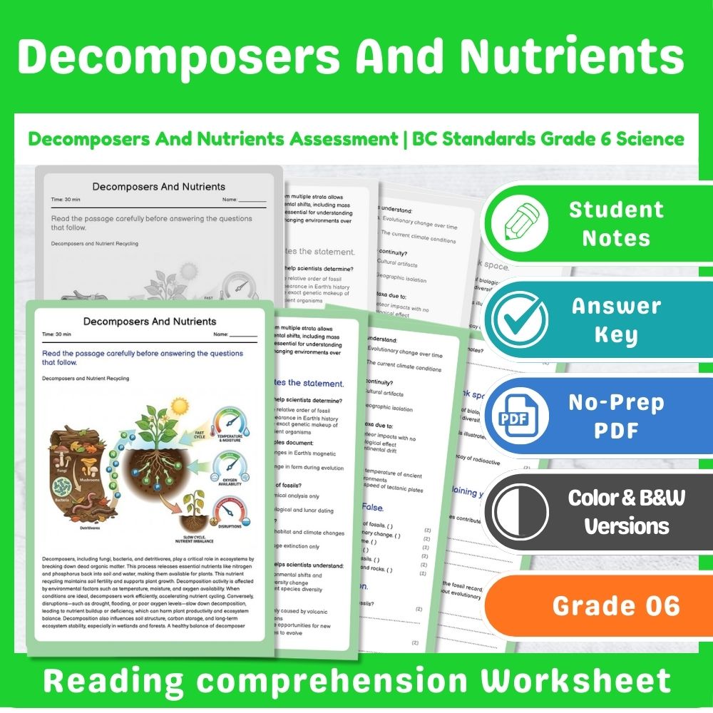 Grade 6 Science – Ecosystems Assessment & Ecology Lesson Bundle | Standards-Aligned — included worksheet 12