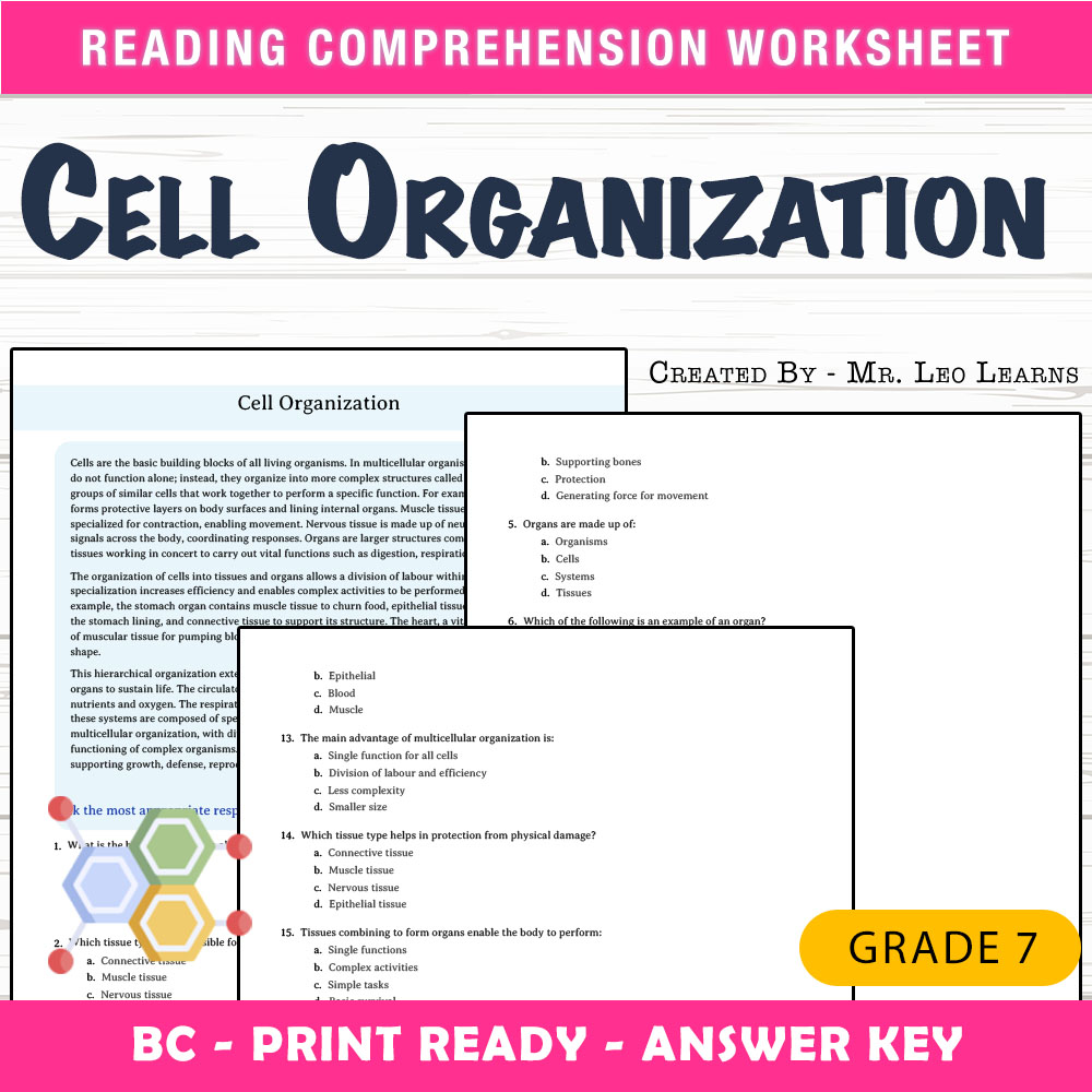 Grade 7 Science worksheet mcq paper worksheet — Grade 7 Science — Cell Organization Worksheet MCQ Paper for Mastery — page 1