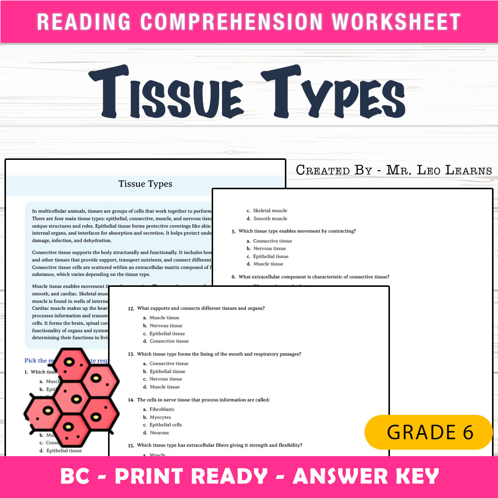 Grade 6 Science worksheet mcq paper worksheet — Grade 6 Science – Tissue Types Worksheet for Mastery | PDF + Answer Key —…