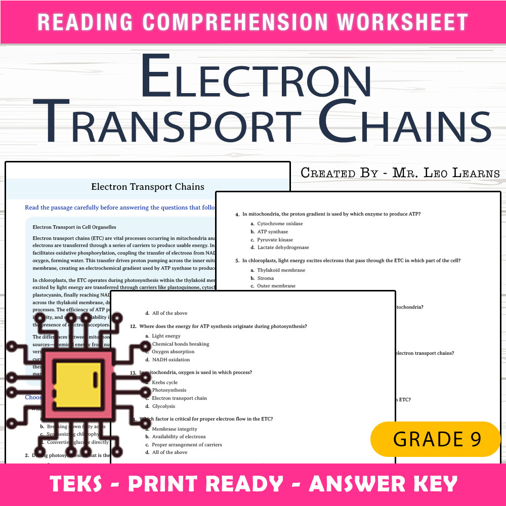 Grade 9 Science worksheet worksheet — Grade 9 Science — Electron Transport Chains Worksheet for Mastery — page 1