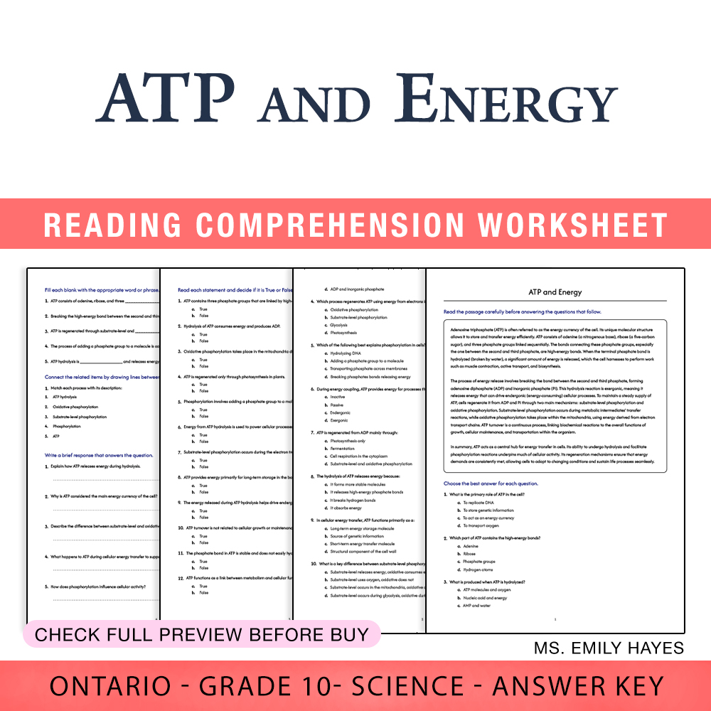 Grade 10 Science worksheet worksheet — 10th Grade Science | ATP and Energy Worksheet (PDF + Answer Key) — page 1