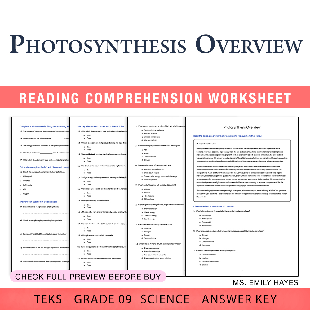 Grade 9 Science worksheet worksheet — 9th Grade Science | Photosynthesis Overview Worksheet (PDF+ Answer Key) — page 1