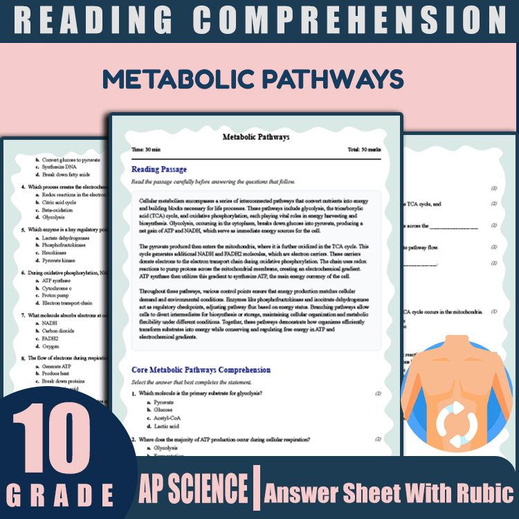 Grade 10 Science reading worksheets worksheet — Grade 10 Science | Membrane Dynamics Reading Worksheet (PDF & Answer Key)…