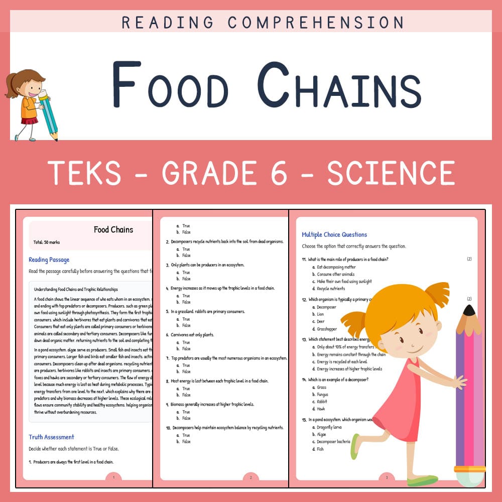 Grade 6 Science worksheet elena worksheet — Grade 6 Science | Food Chains Worksheet Elena | TEKS-Aligned — page 1