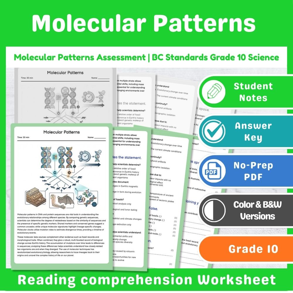 Grade 10 Science Mini Bundle | Evolution & Biodiversity Standards-Aligned — included worksheet 13