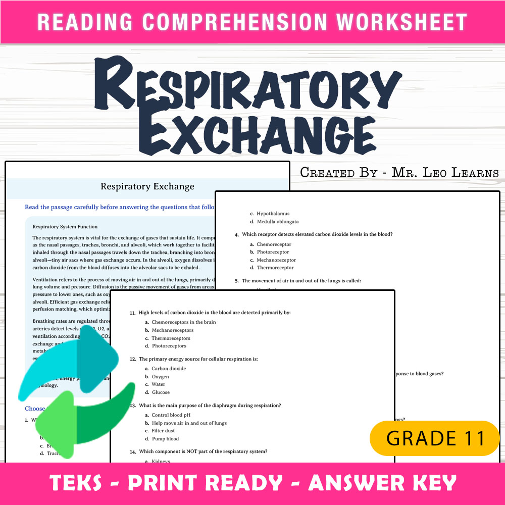 Grade 11 Science worksheet worksheet — Grade 11 Science | Respiratory Exchange Worksheet for Mastery — page 1