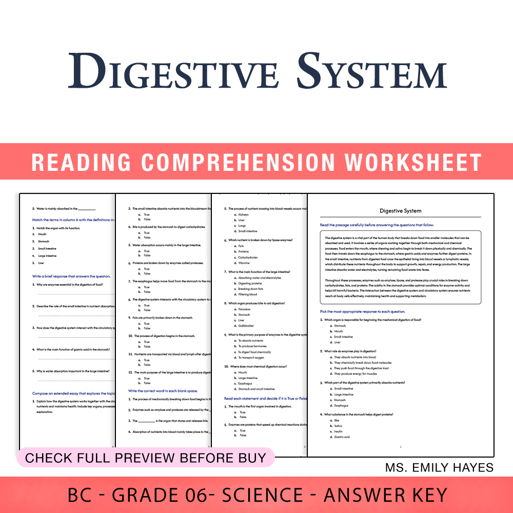 Grade 6 Science — worksheet — 6th Grade Science | Digestive System Worksheet (PDF+ Answer Key) — page 1