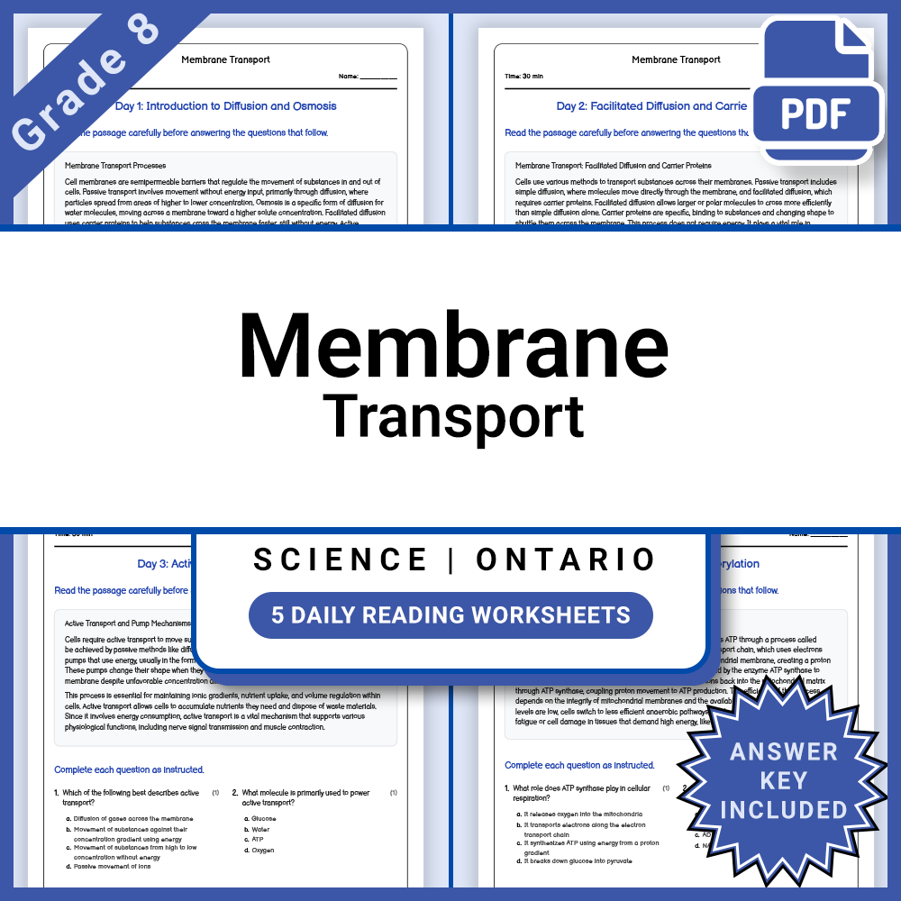 Grade 8 Science Full Year Curriculum Bundle | Water Systems & Energy — included worksheet 37