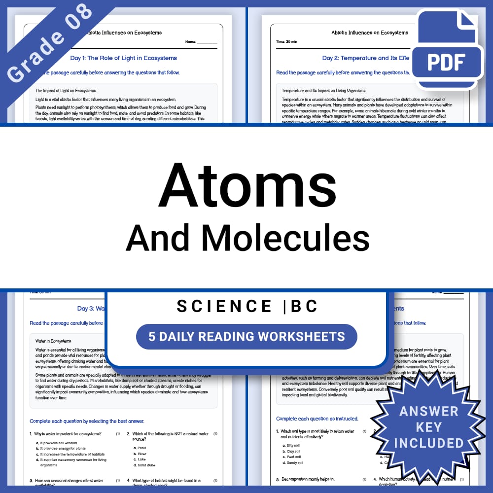 Grade 8 Science Lesson Group | Physical Changes and Chemical Reactions — included worksheet 11