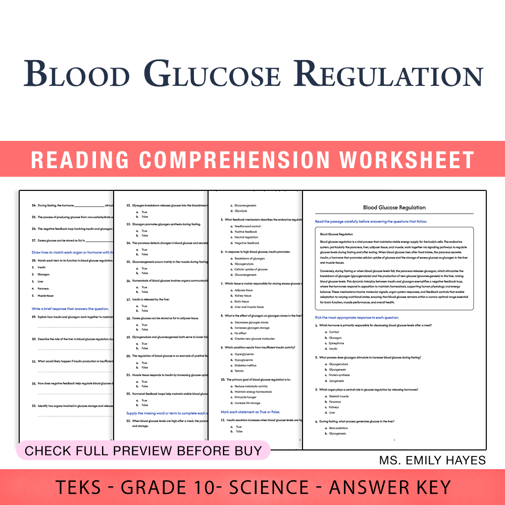 Grade 10 Science worksheet worksheet — 10th Grade Science | Blood Glucose Regulation Worksheet (PDF+ Answer Key) — page 1