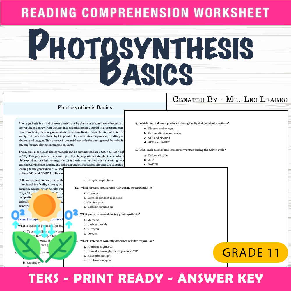Grade 11 Science worksheet worksheet — Grade 11 Science | Photosynthesis Basics Worksheet for Mastery — page 1