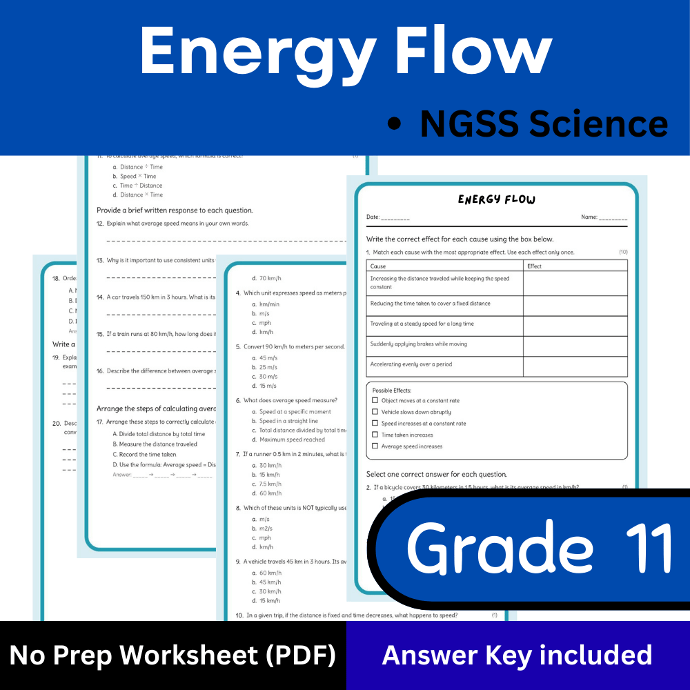 Grade 11 Science | Energy Flow Worksheet (PDF) aligned with NGSS