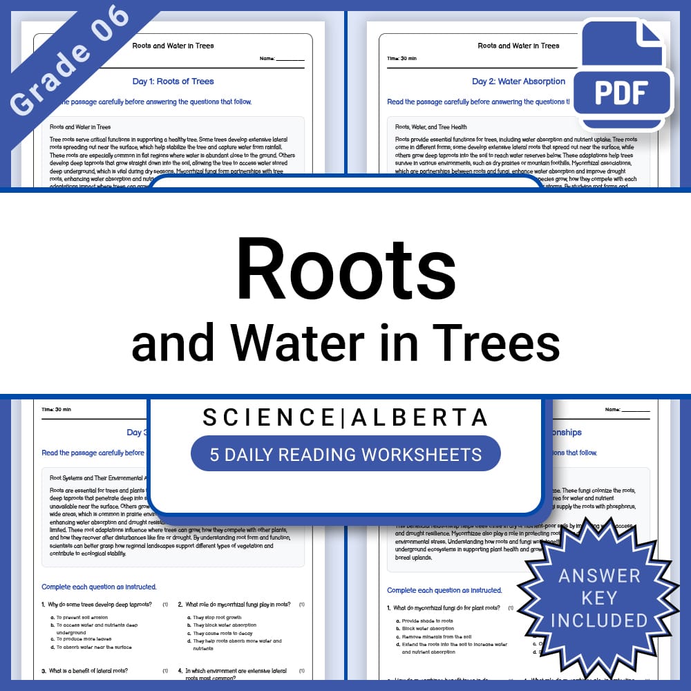 Grade 6 Science Full Year Bundle | Weather, Ecosystems, Flight & Space — included worksheet 46