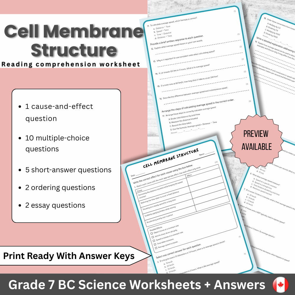 Grade 7 Science | Cell Membrane Structure Worksheet (Answer Key) – BC Standards