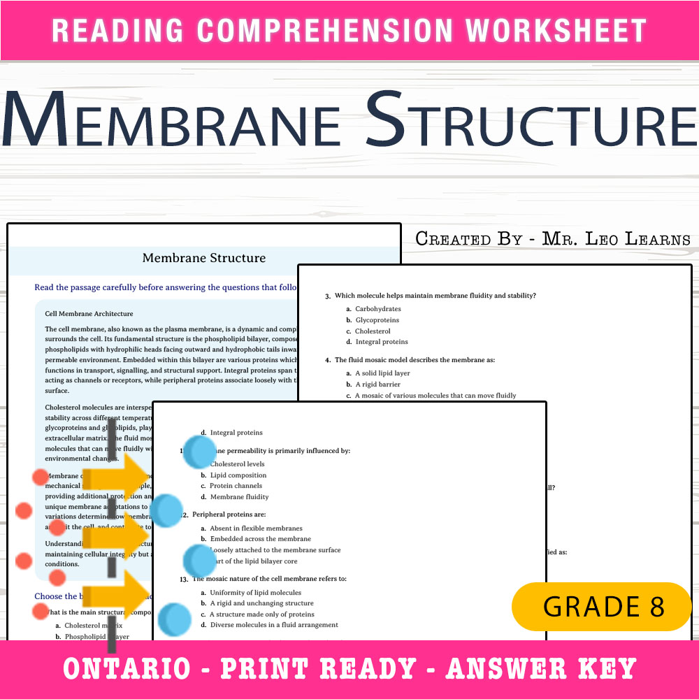 Grade 8 Science worksheet worksheet — Grade 8 Science — Membrane Structure Worksheet for Mastering Cell Biology — page 1