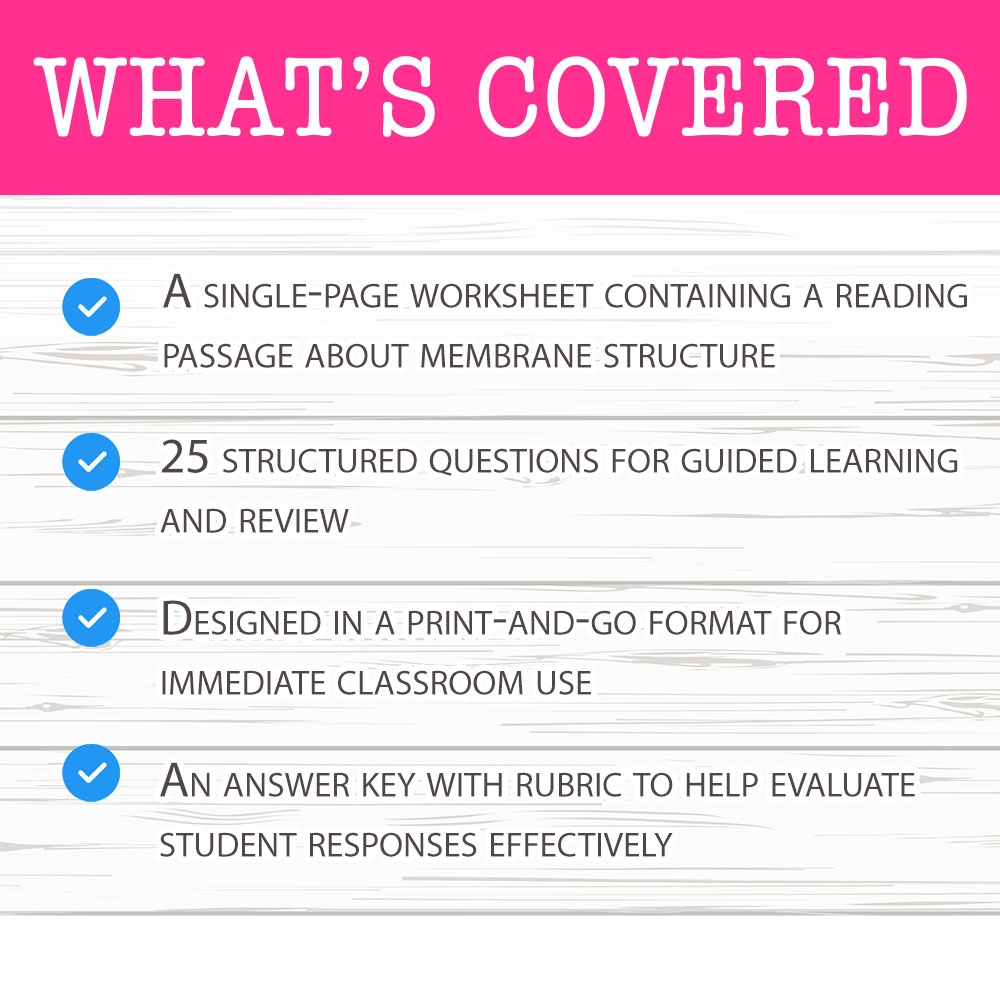 Grade 8 Science worksheet worksheet — Grade 8 Science — Membrane Structure Worksheet for Mastering Cell Biology — page 2